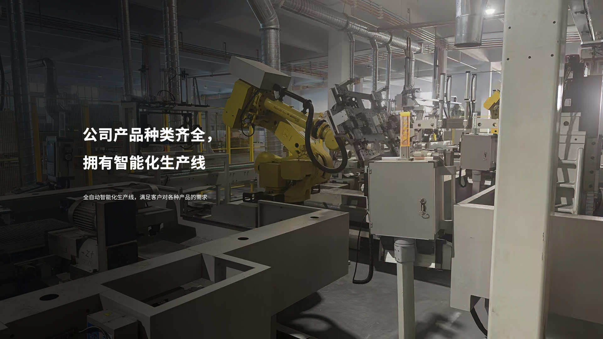 公司产品种类齐全